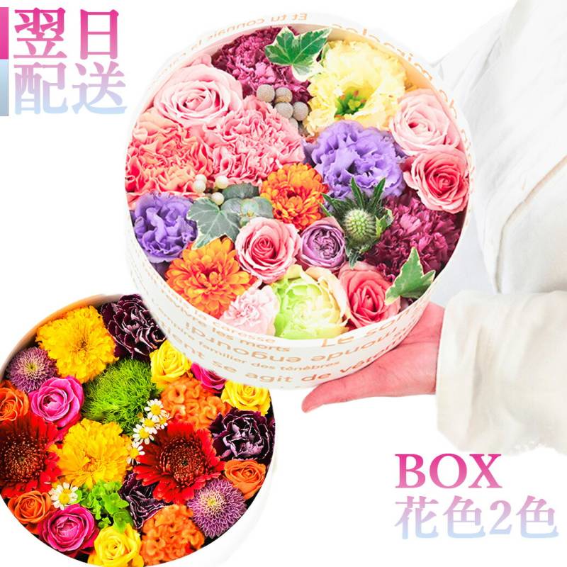 ARNOX_ROUNDΦ225 フラワーケーキのようなBOX