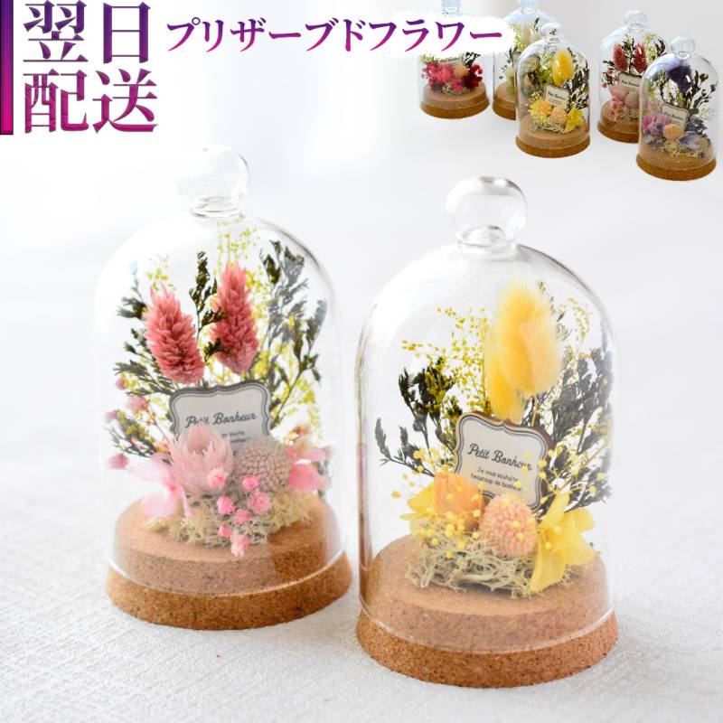 花 プリザーブドフラワー フラワーアレンジメント プリザ ドーム ガラス 花色 5色 誕生日 プレゼント フラワー ギフト 花束 アレンジ フラワーギフト