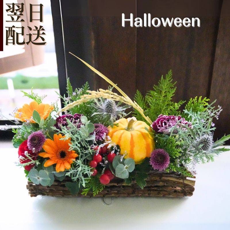 ハロウィン カボチャ 花 フラワーアレンジメント フラワーギフト 生花 プレゼント ギフト アレンジメント 品質保証 アレンジ お礼 お祝い 展示会 お見舞い 楽屋花 ほんの気持ち アルネの花 a お花 指定日 お届け 最強配送
