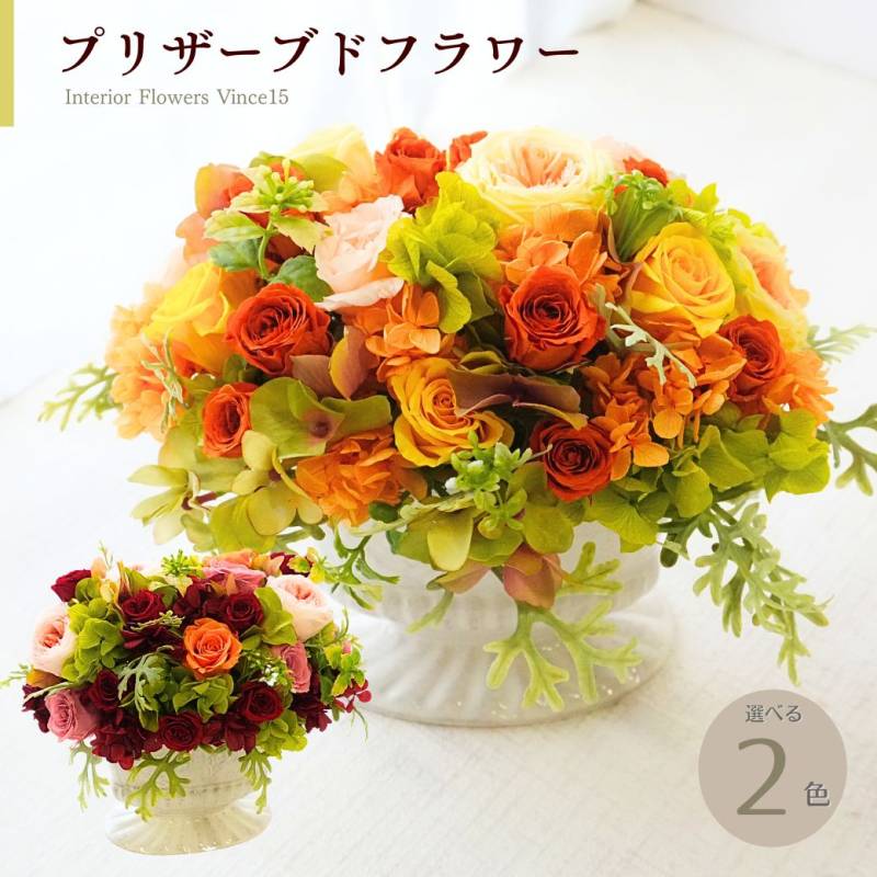 Preserved 【Interior Flowers Vince】