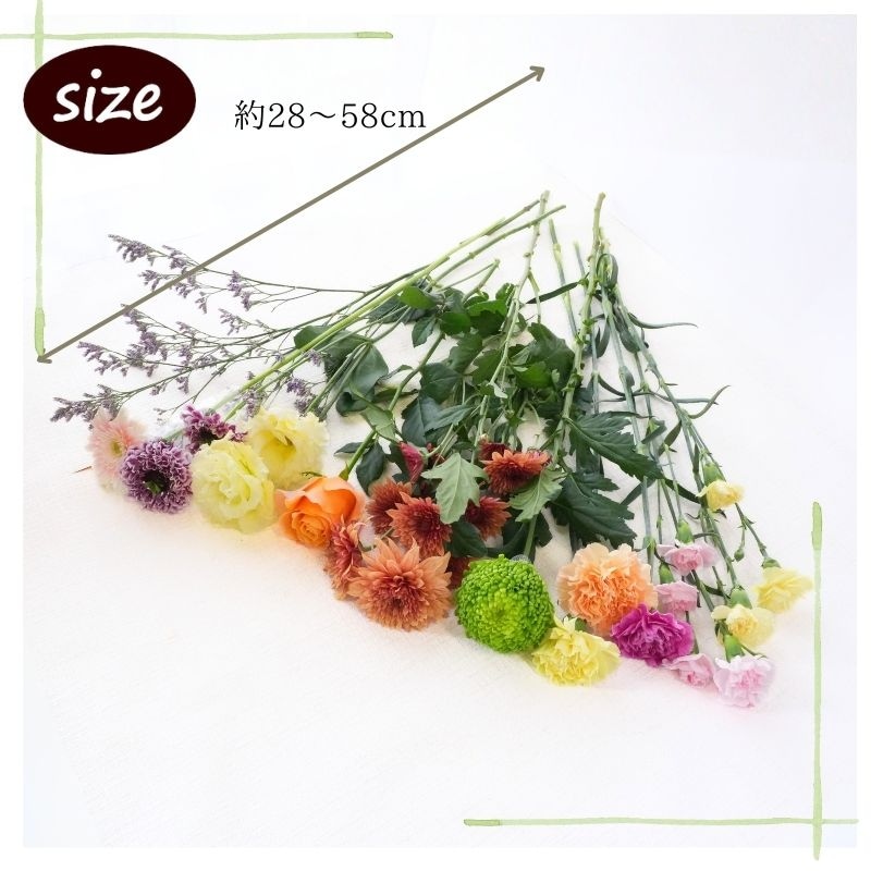 RP母の日誕生日花花束切花生花自宅送料無料イマデキおうち時間うちで過ごそうお正月おまかせフラワー上質な暮らしリビングオシャレかわいいカットフラワー切り花