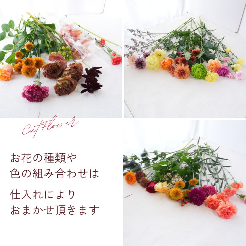 WG母の日誕生日花花束切花生花自宅送料無料イマデキおうち時間うちで過ごそうお正月おまかせフラワー上質な暮らしリビングオシャレかわいいカットフラワー切り花