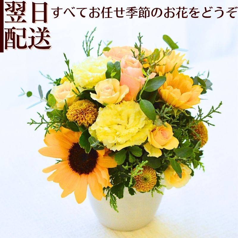 【Silky Yellow】
