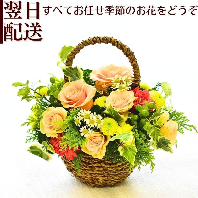 【オレンジバスケット】