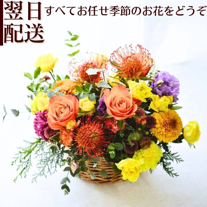【Southern Garden05016】