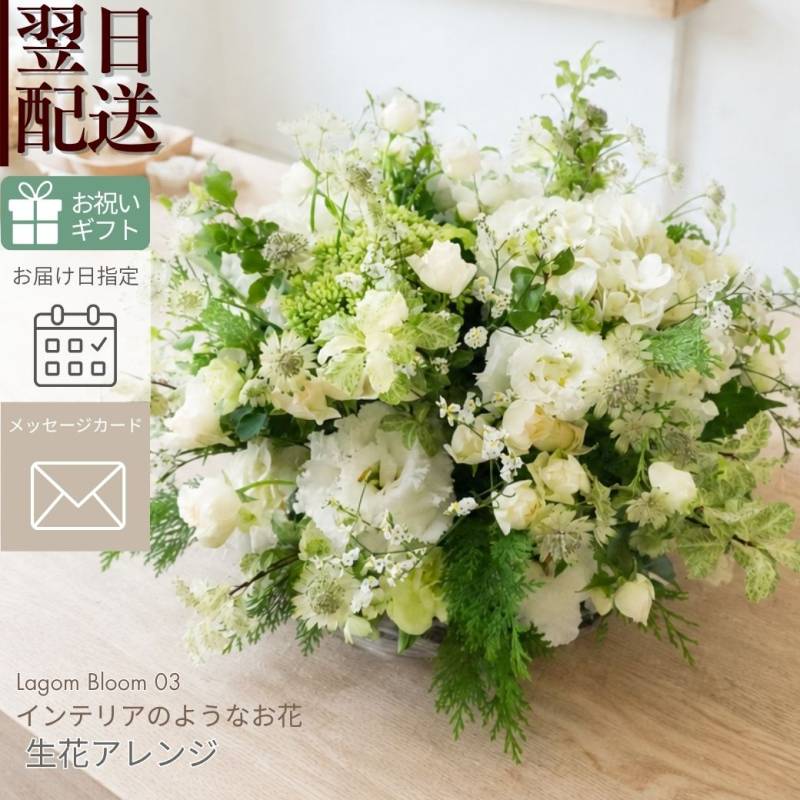 【Lagom Bloom 03】