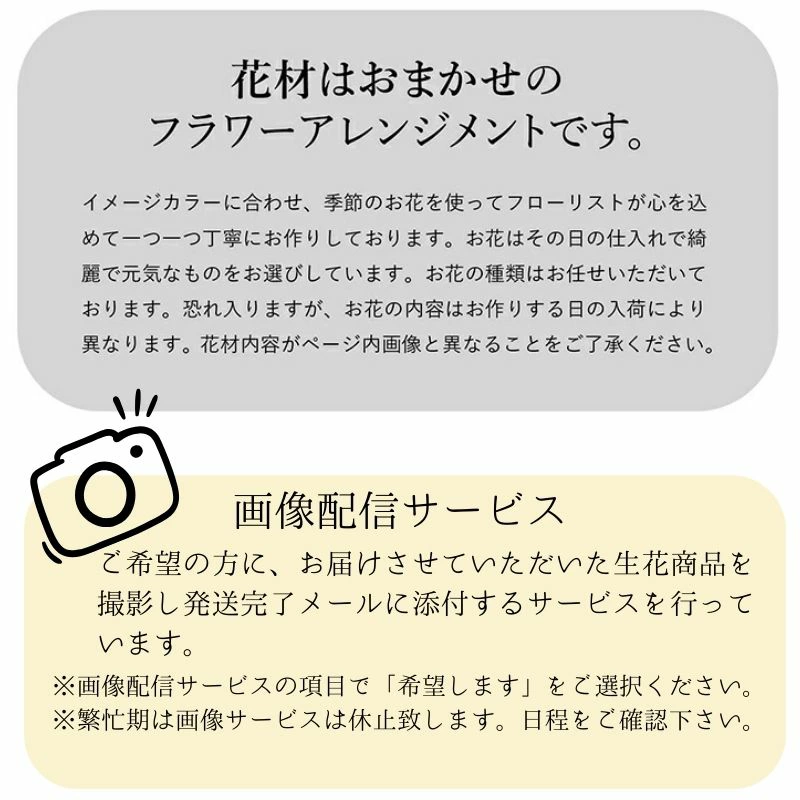 【おまかせアレンジメント　ｵｰﾙﾗｳﾝﾄﾞﾀｲﾌﾟＳsize】お好みの色やトーンを選んでいただき花材はお任せの生花のアレンジメントです。色は6色、トーンは４タイプからお選びいただけます。お誕生日や歓送迎、展示会、発表会、結婚のお祝い、お見舞いなどに。送料無料。14時までのご注文で翌日お届け
