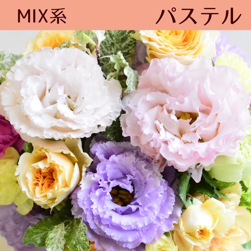 【おまかせアレンジメント　ｵｰﾙﾗｳﾝﾄﾞﾀｲﾌﾟＳsize】お好みの色やトーンを選んでいただき花材はお任せの生花のアレンジメントです。色は6色、トーンは４タイプからお選びいただけます。お誕生日や歓送迎、展示会、発表会、結婚のお祝い、お見舞いなどに。送料無料。14時までのご注文で翌日お届け