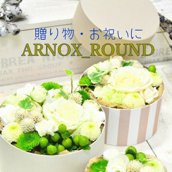ARNOX_ROUND130  ～アルノックス_ラウンド130～