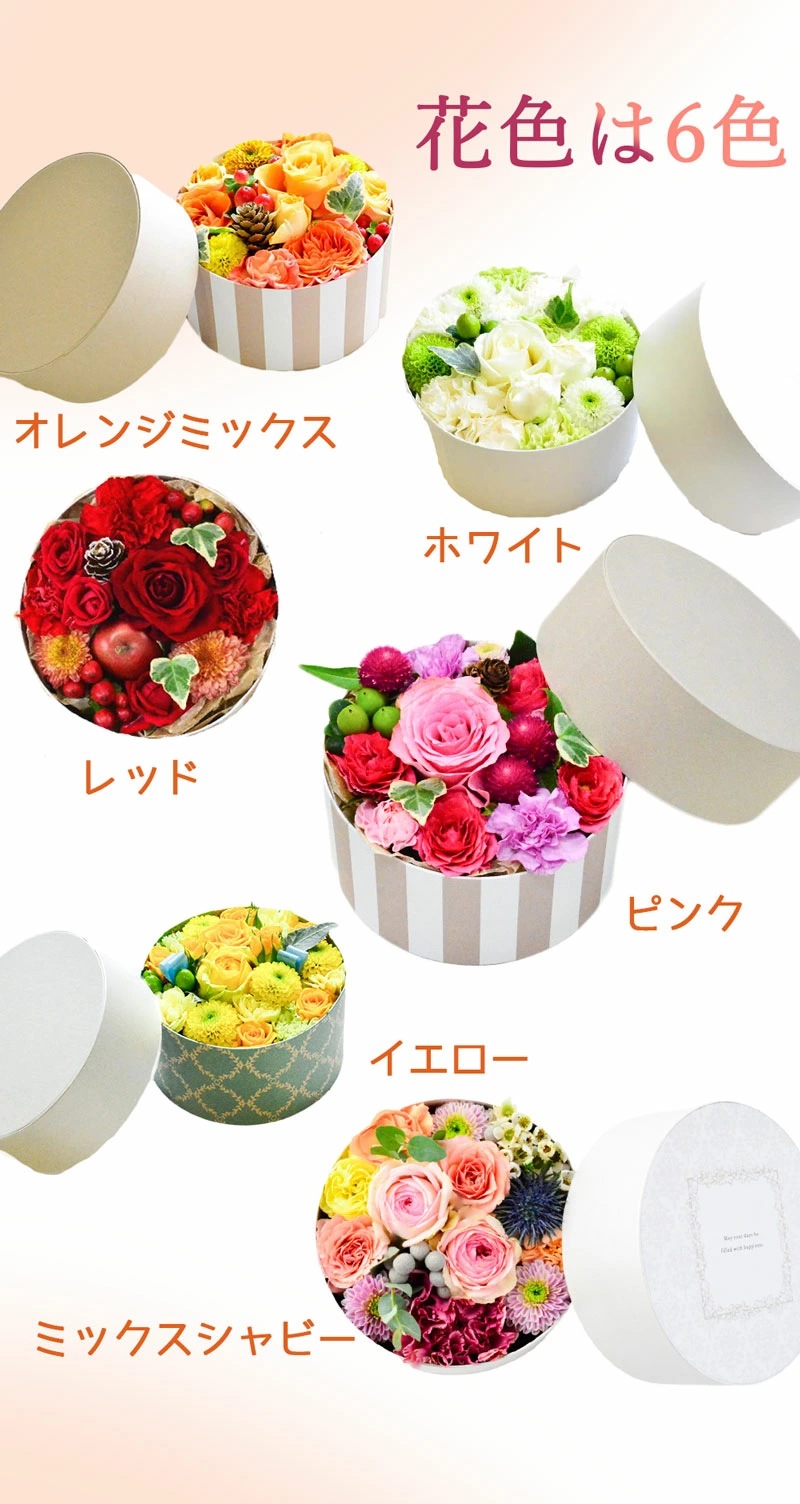 ARNOX_ROUND130  ～アルノックス_ラウンド130～