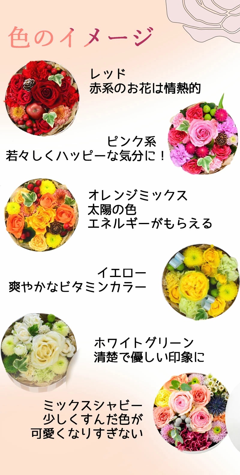 ARNOX_ROUND130  ～アルノックス_ラウンド130～