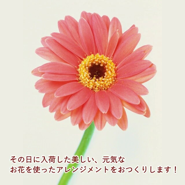 Landscape 0702 ~ランドスケープ~