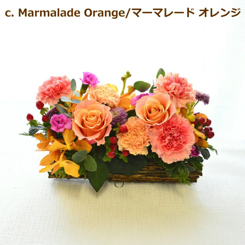 【Like a log 01】