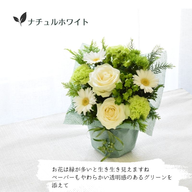 【ｔｓｕｔｓｕｍｕ】おくるみに包まれたような可愛いお花をお届けいたします。お花全体をお花の色に合わせたペーパーで包み込むようにお作りいたします。生花のアレンジメントです。8色からお選びください。送料無料。14時までのご注文で翌日お届け可能（お届け可能地域につきましてはページ内の地図を参照ください）