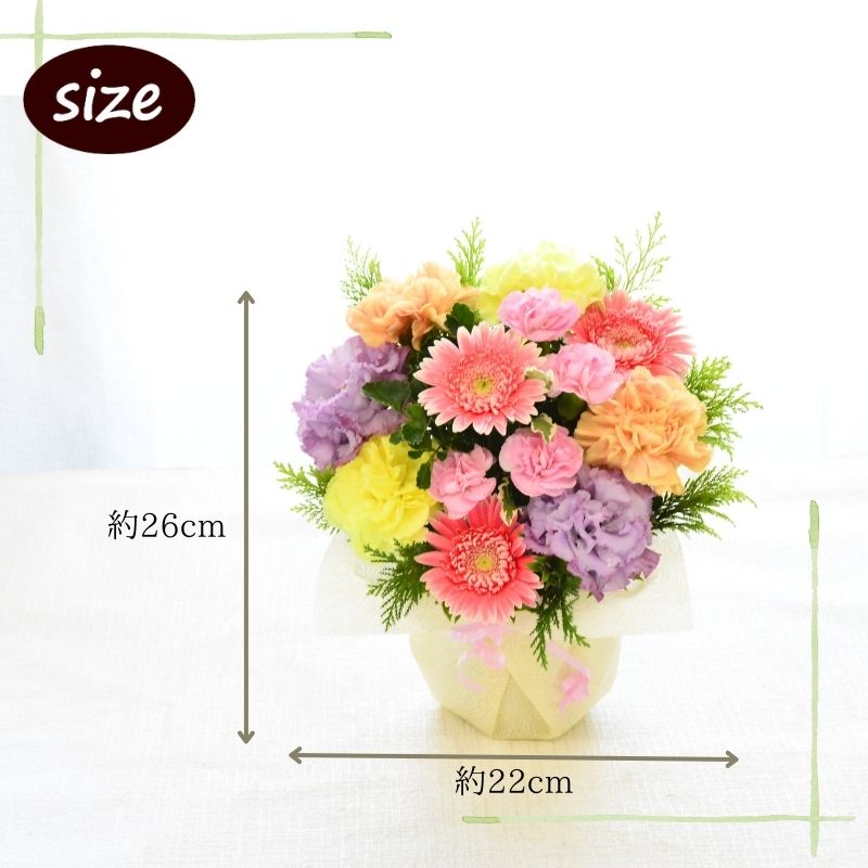 敬老の日 花束 花 フラワーアレンジメント フラワーギフト 生花 プレゼント フラワー ギフト ギフト 色が選べる アレンジメント 品質保証 アレンジ お礼 お祝い 展示会 お見舞い 楽屋花 お供え花 お花 指定日 お届け 最強配送 宅配