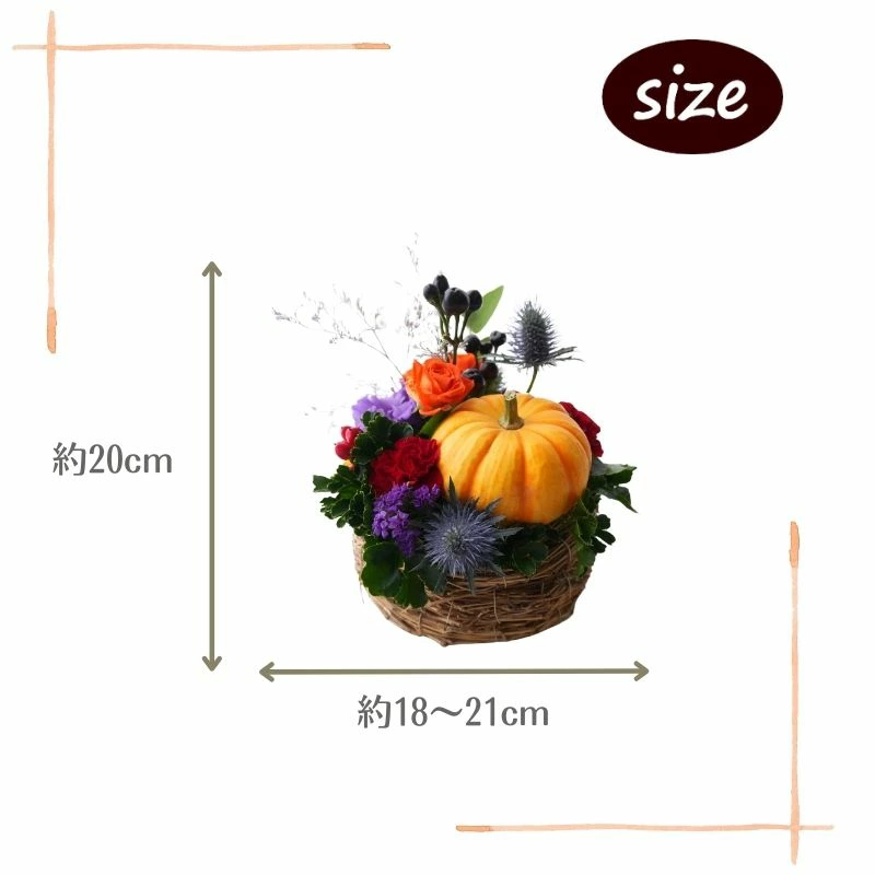 ハロウィン 秋 花 生花 アレンジメント ギフト フラワーギフト 10月 誕生日 自宅用 ハロウィン装飾 アレンジメント フラワー お祝い 記念日 ハロウィーン ハロウィンパーティー ホームパーティー 季節の贈り物 a お花 指定日 お届け 最強配送 宅配