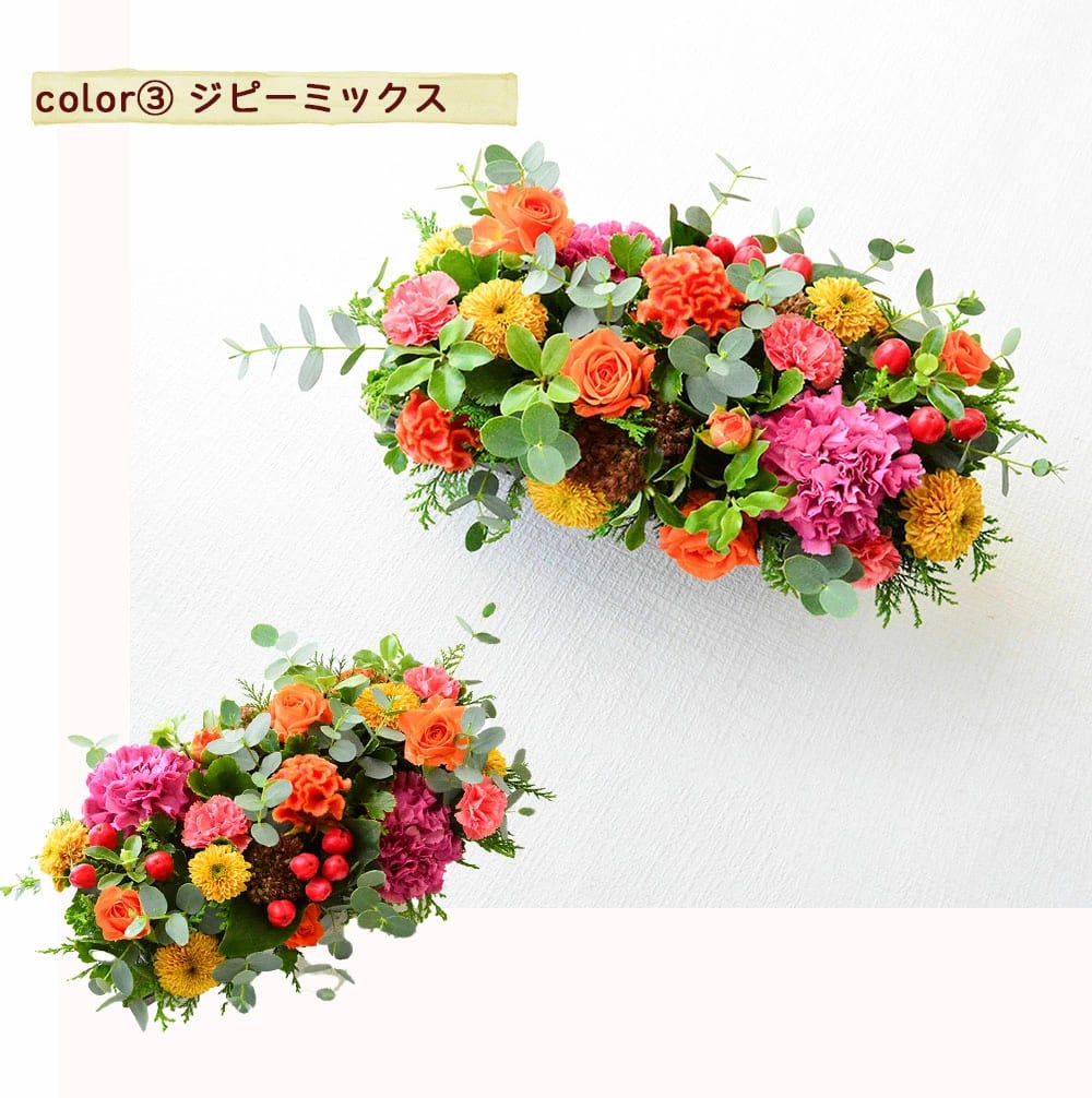 seeds garden ～シーズガーデン～