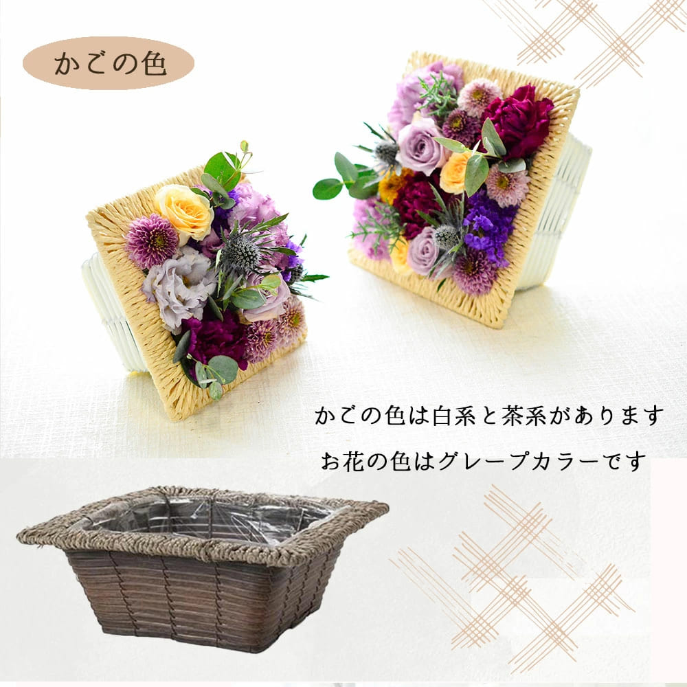 ボタニカルポスターLsize