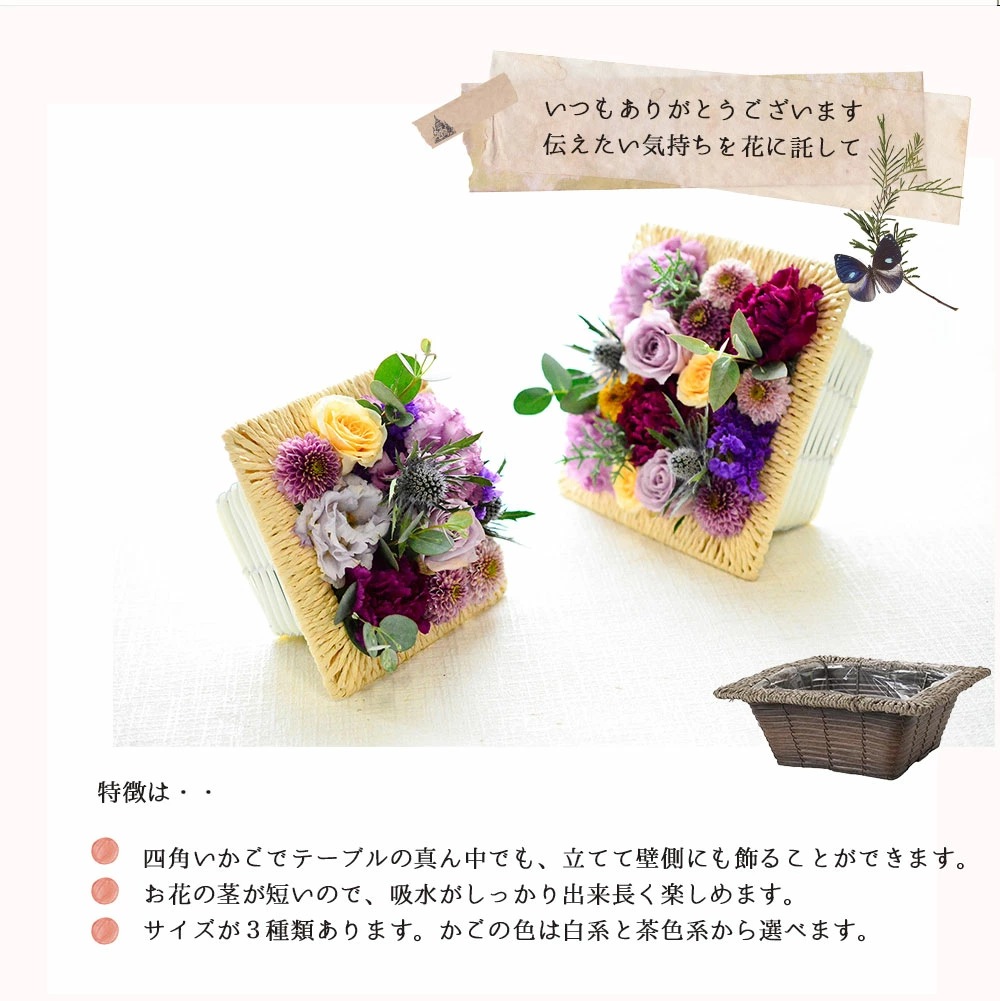 ボタニカルポスターLsize