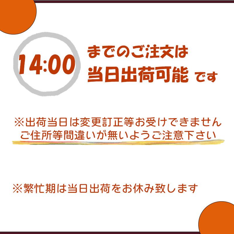 花 フラワーアレンジメント 生花 お供 ギフト 年末年始 ご挨拶  生花 フラワーアレンジメント おくやみ お悔み お供花 フラワーギフト 綺麗 おしゃれ 高級感 仏前 白 ピンク 紫 ボリューム良い s お花 指定日 最強配送 宅配