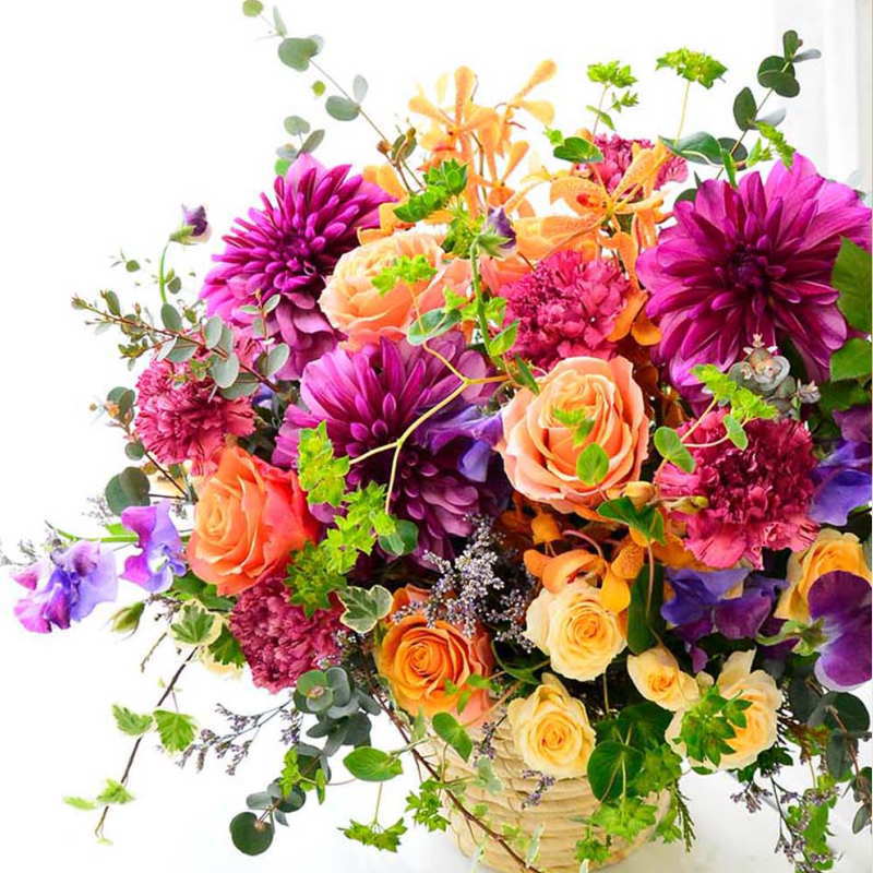 Omakase_ murasaki mix colors 01 ～ おまかせ 紫ミックスカラー 01 ～