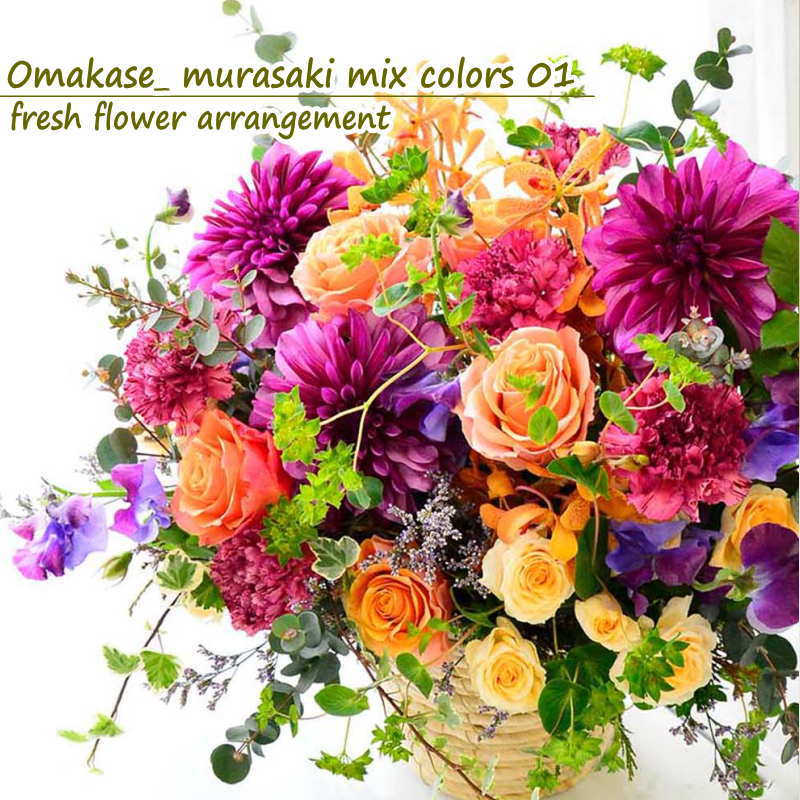Omakase_ murasaki mix colors 01 ～ おまかせ 紫ミックスカラー 01 ～