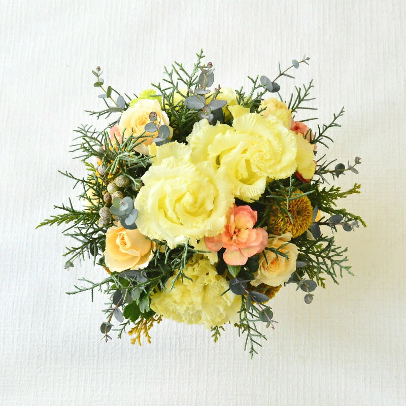【kusumino yellow】