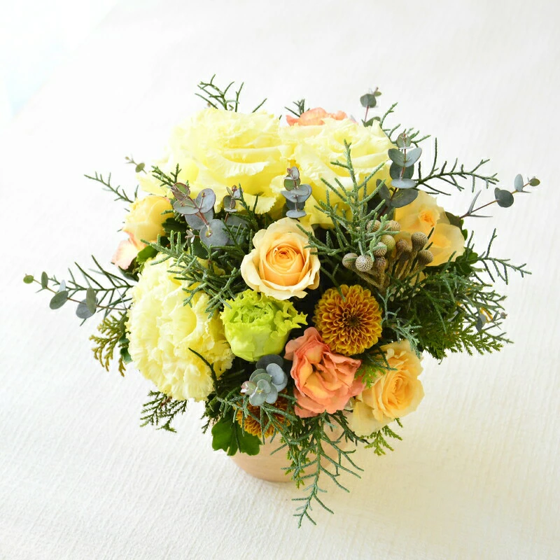 【kusumino yellow】