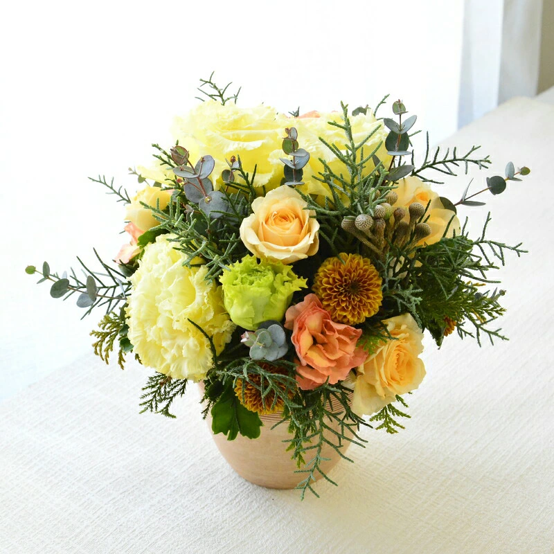 【kusumino yellow】
