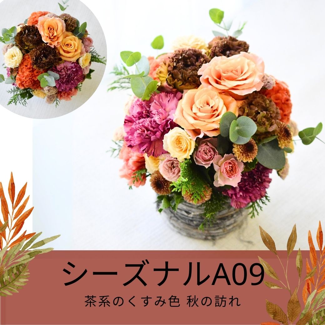 花 フラワーアレンジメント 生花 フラワーギフト 誕生日 ギフト フラワー アレンジメント プレゼント お祝い お礼 花屋 色が選べる アレンジ 贈り物 結婚 出産 展示会 楽屋花 記念日 お見舞い 花屋 おしゃれ かわいい アルネの花 5 a お花 指定日 お届け 最強配送