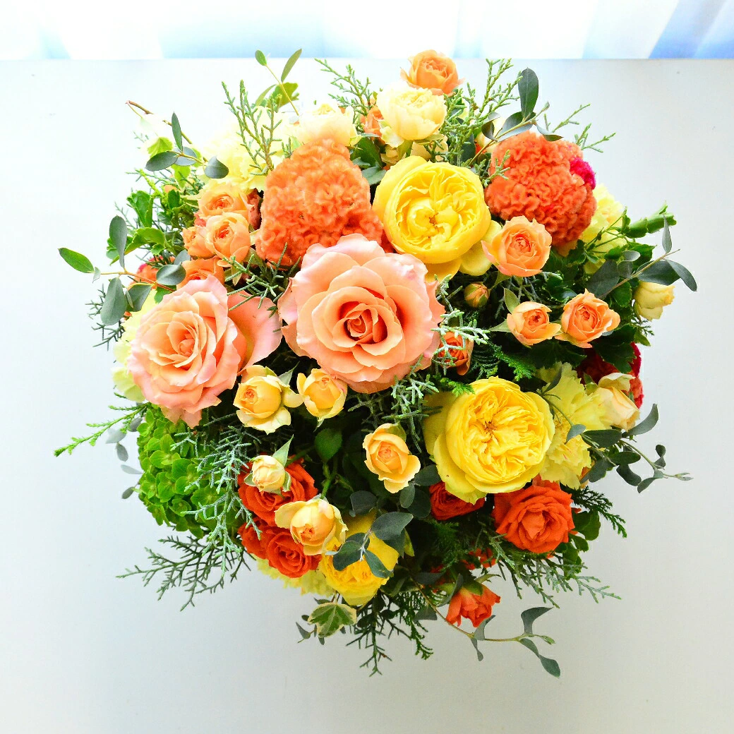 【HarvestO 01101】