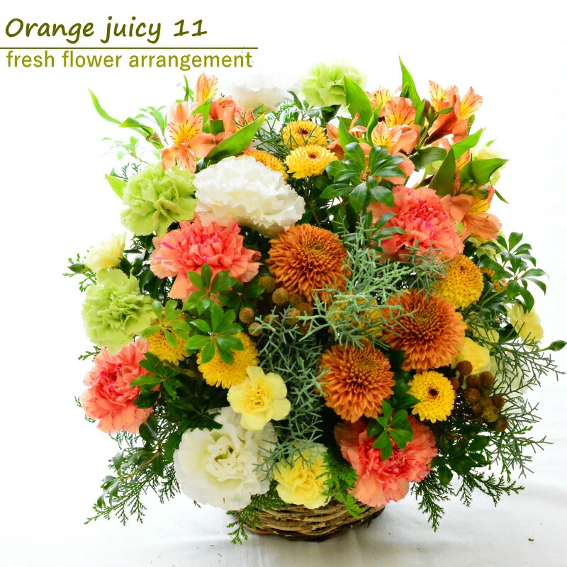 【Orange juicy 11】