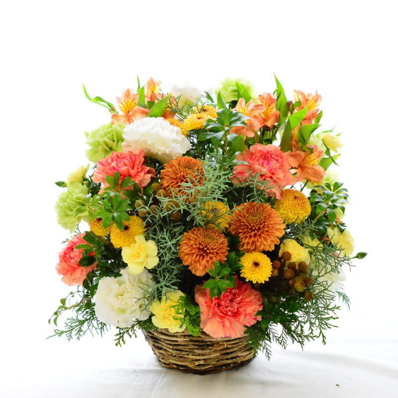 Orange juicy 11 ～御祝いのお花～