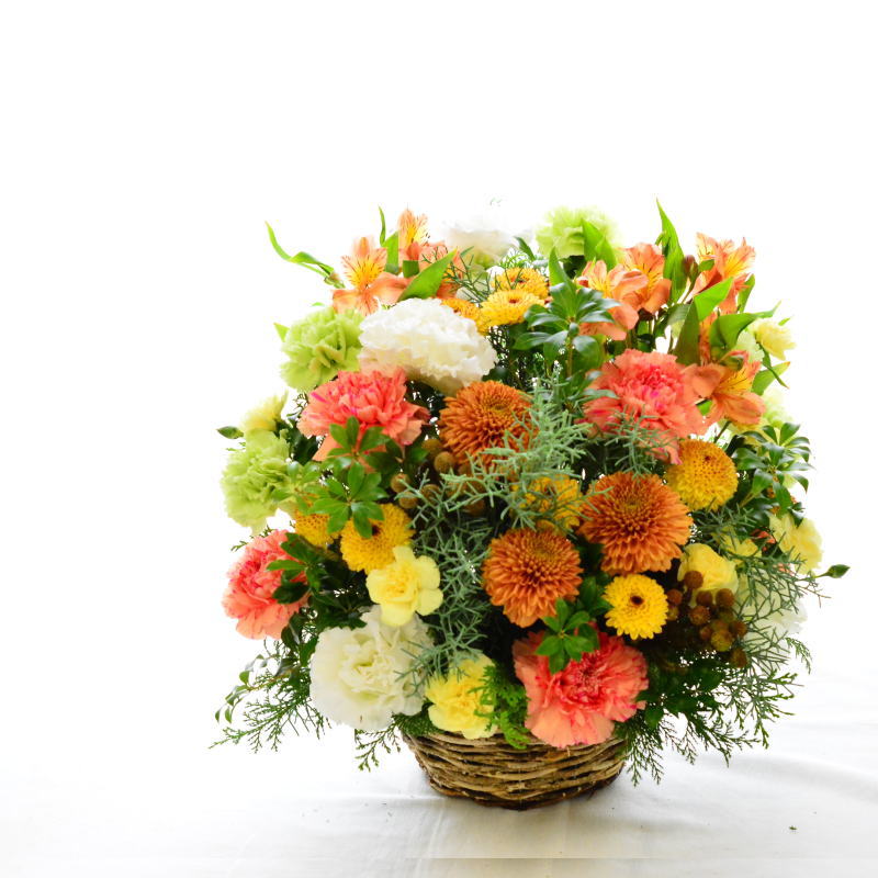 Orange juicy 11 ～御祝いのお花～