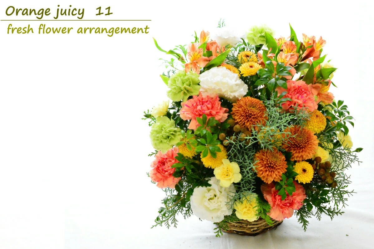 Orange juicy 11 ～御祝いのお花～