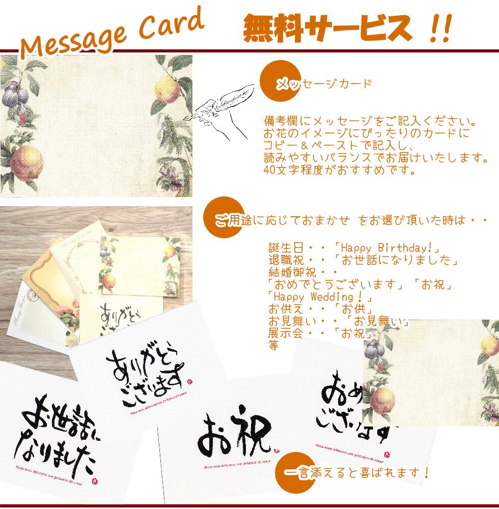 おまかせフラワーアレンジメント008b