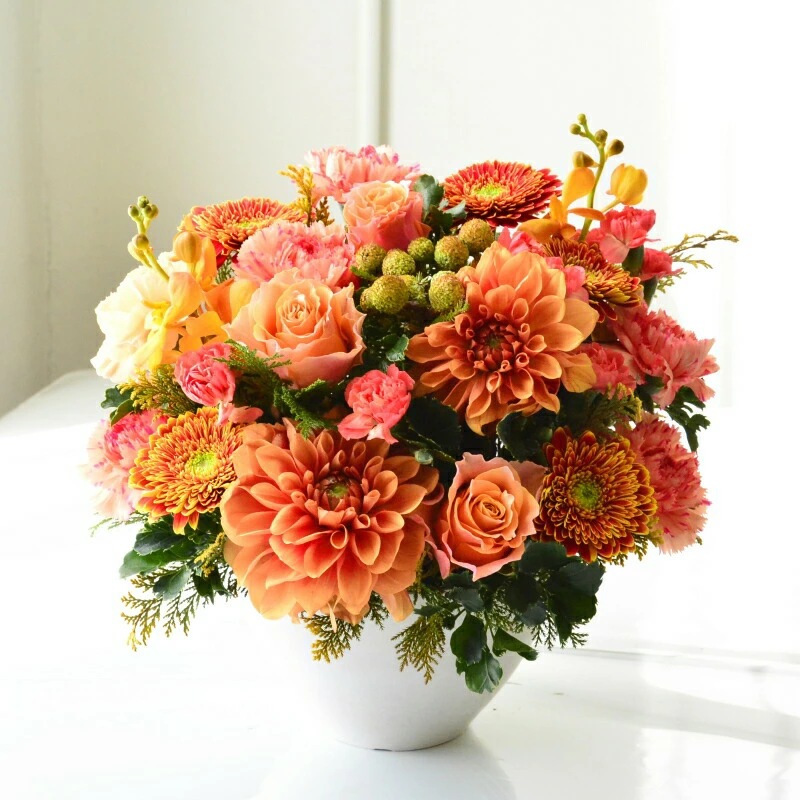 Omakase_Dahlia shiny 12 ~ おまかせ ダリア シャイニー 12 ~