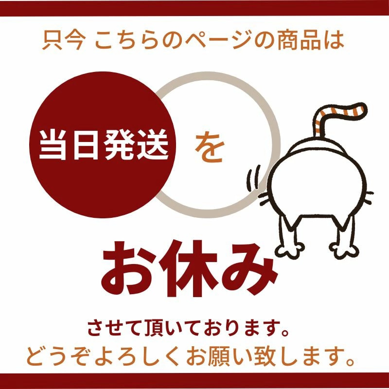 Omakase_Dahlia shiny 12 ~ おまかせ ダリア シャイニー 12 ~