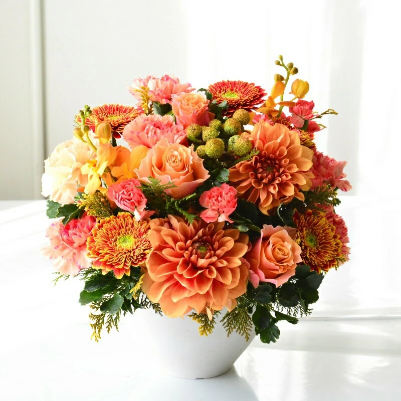 Omakase_Dahlia shiny 12 ~ おまかせ ダリア シャイニー 12 ~