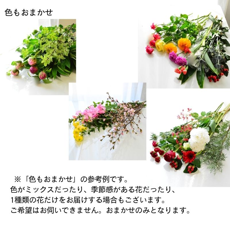 【生花のおまかせ切り花】