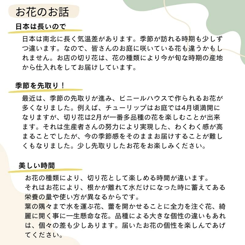 【生花のおまかせ切り花】