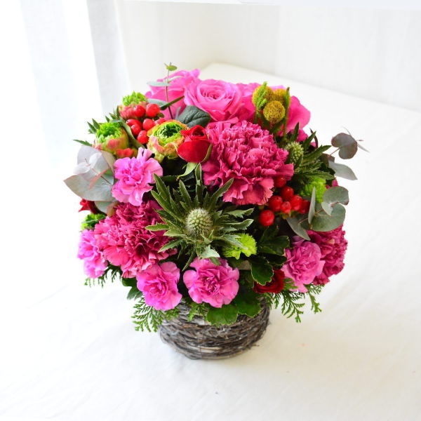 【VibrantPink06001】