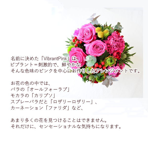 【VibrantPink06001】