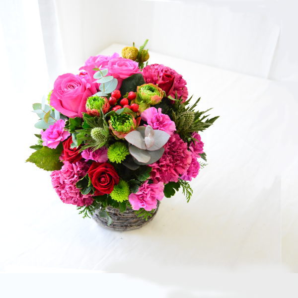 【VibrantPink06001】