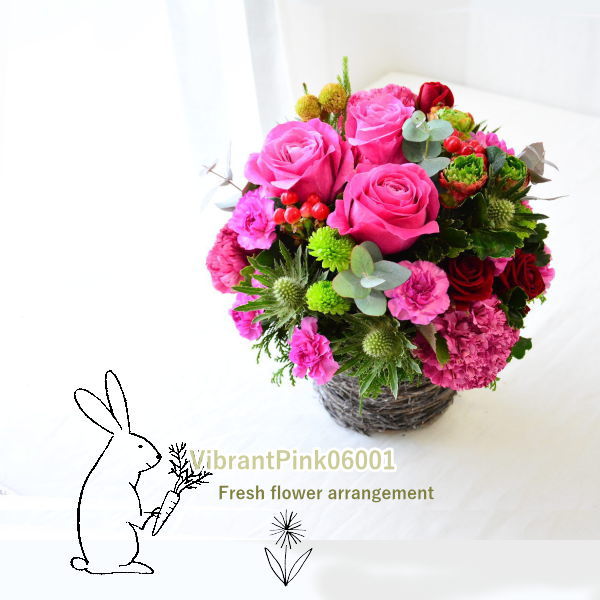 【VibrantPink06001】