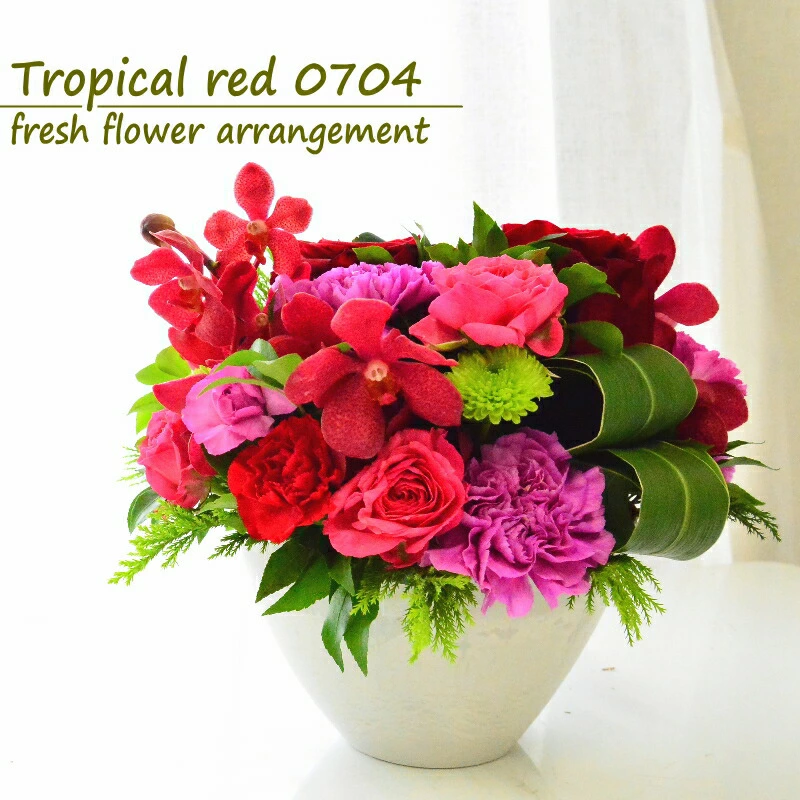 【Tropical red 0704】