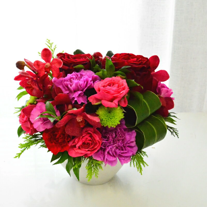 【Tropical red 0704】