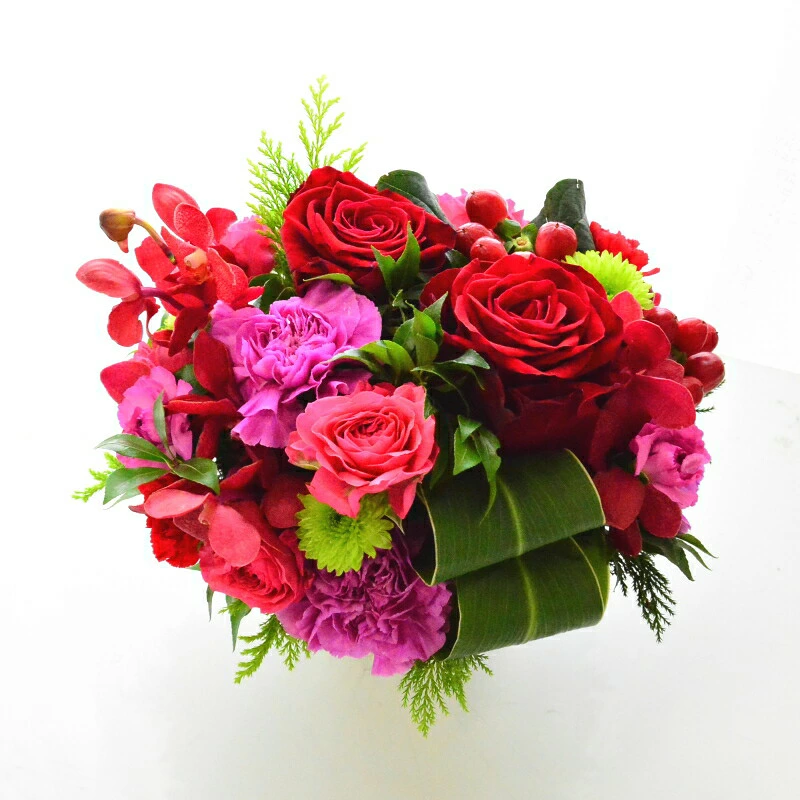 【Tropical red 0704】