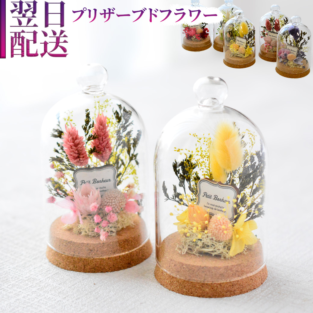 花 プリザーブドフラワー フラワーアレンジメント プリザ ドーム