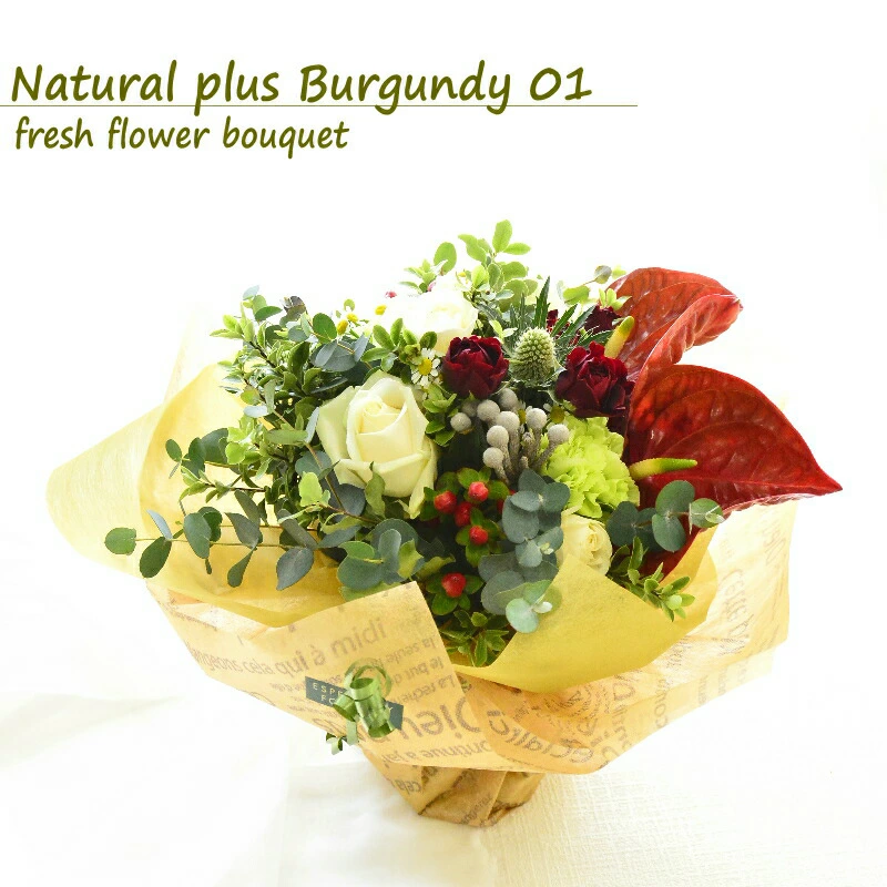 【Natural plus Burgundy 01】